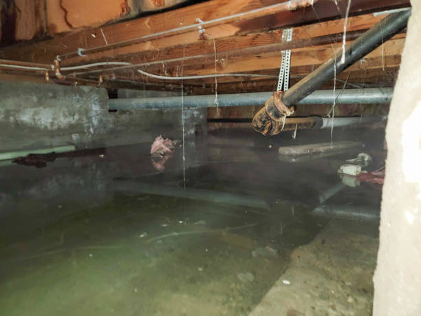 Best Water damage restoration near me  in Trevose, PA