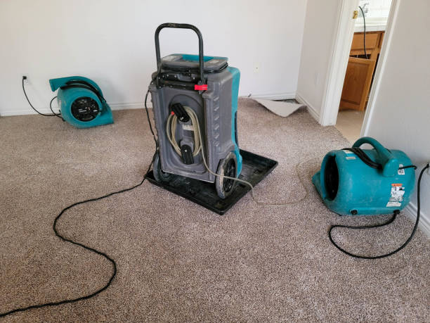 Best Water damage restoration near me  in Trevose, PA