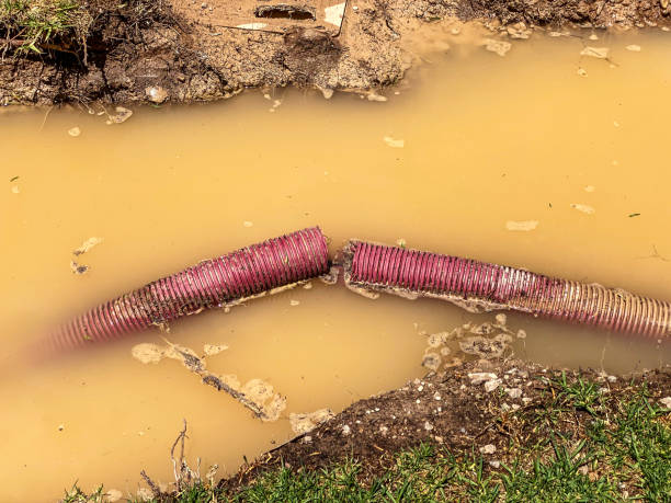 Best Basement water damage restoration  in Trevose, PA